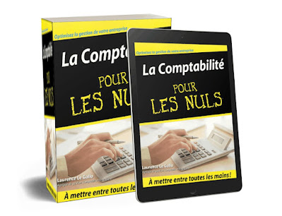 ce livre vous guidera dans la tenue de votre comptabilité.   Grâce à lui, le contenu des comptes annuels n'aura plus de secrets pour vous.  Vous serez incollable sur les notions d'immobilisations, de charges, de produits. Et vous découvrirez même quelques astuces (tout à fait légales !)