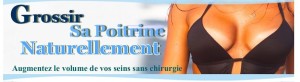 livre Comment Développer Sa Poitrine Naturellement pdf